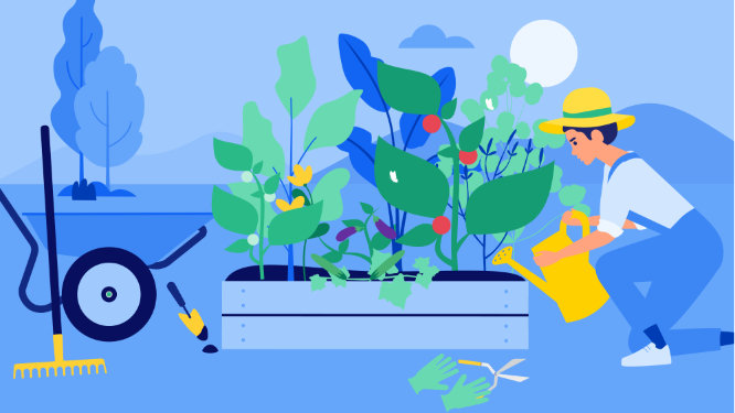 Swisscanto Investment